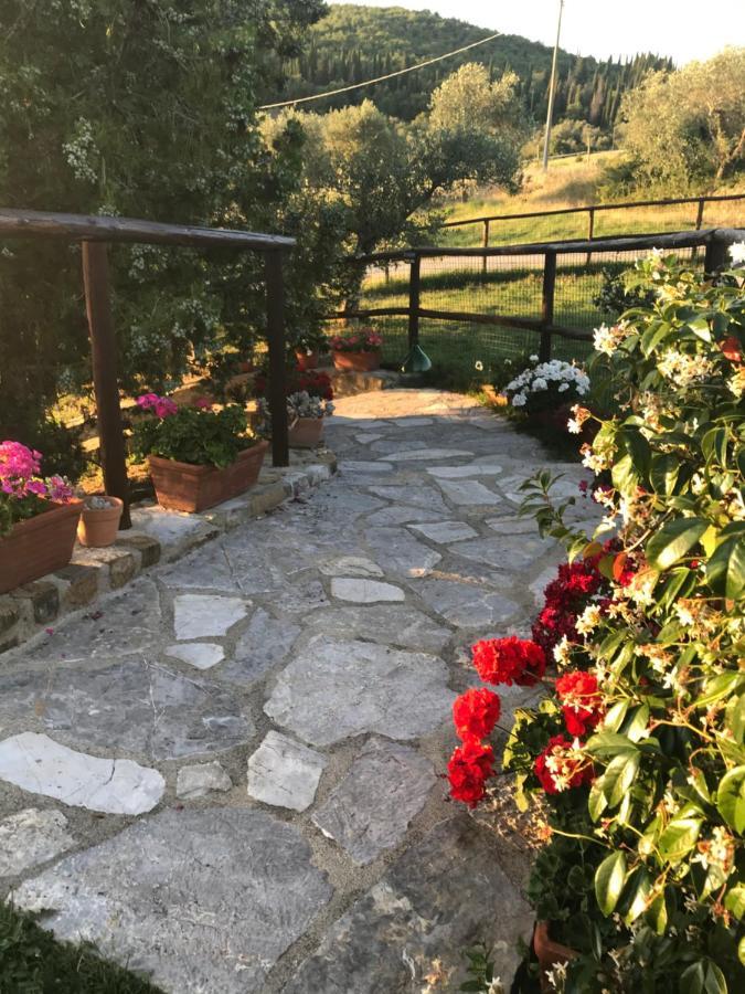 Villa Salto Di Gatto Castellina in Chianti Exterior foto